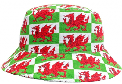 Bartleby Childs Wales Bucket Hat